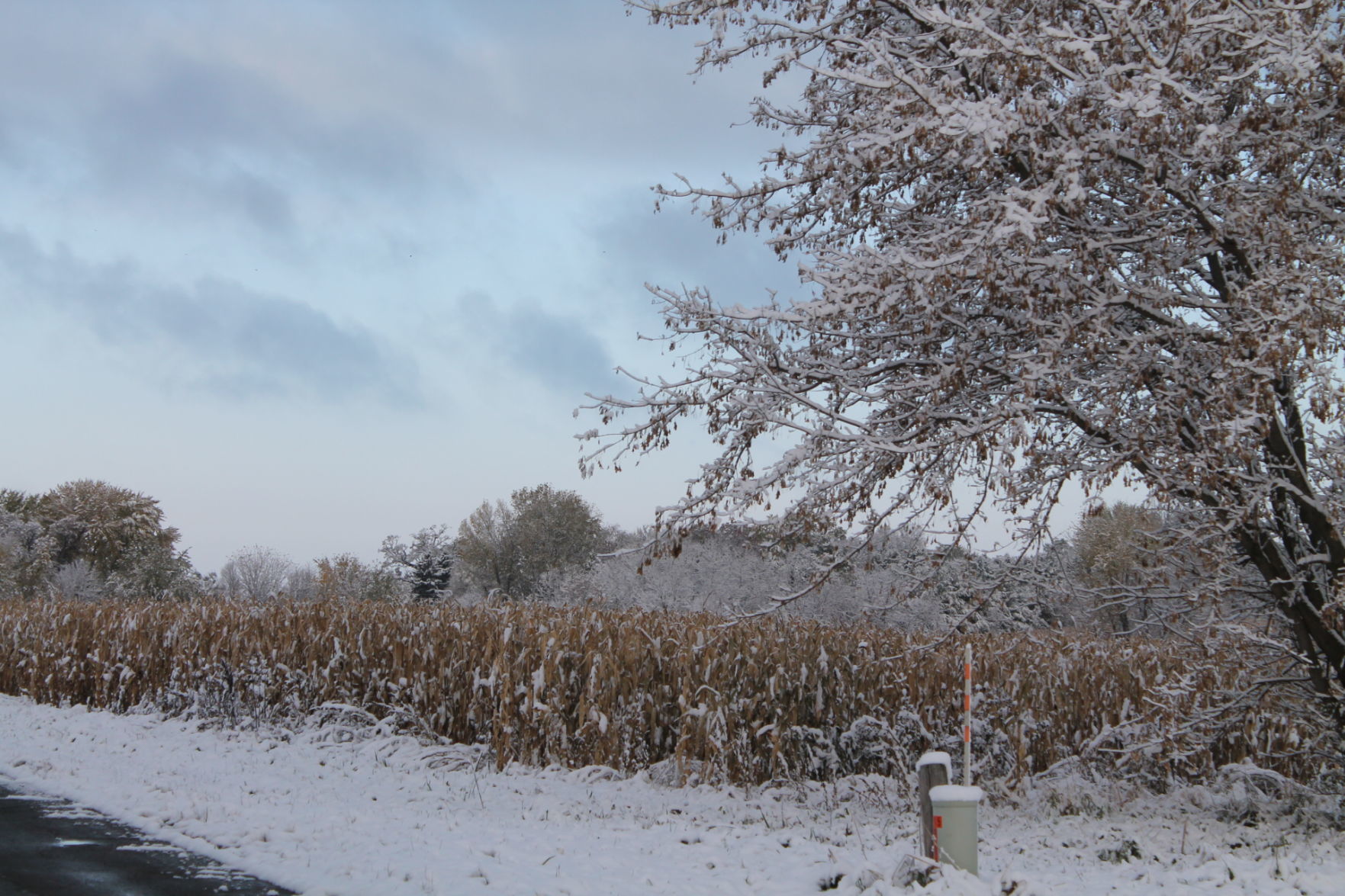 102919 snow 023.JPG